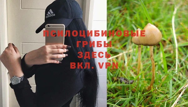 MDMA Premium VHQ Вяземский